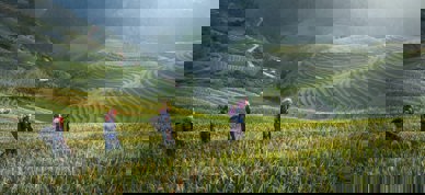 Småbruk kvinner i landskap internasjonalt - Foto: Pixabay/Pexels