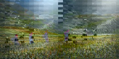 Småbruk kvinner i landskap internasjonalt - Foto: Pixabay/Pexels