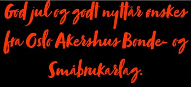 Jule og nyttårshilsen - Foto: Karl-Sverre Holdal