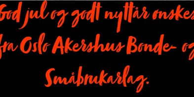 Jule og nyttårshilsen - Foto: Karl-Sverre Holdal