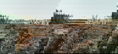 Roya Ann Miller Bktsp32dfnc Unsplash