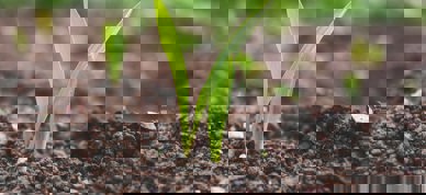 Roman Synkevych Fjj7lvpcxre Unsplash