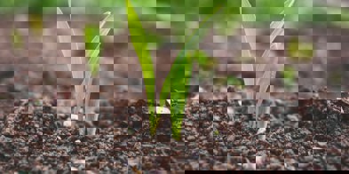 Roman Synkevych Fjj7lvpcxre Unsplash