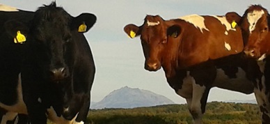 11057792 1020920237952434 7813095464275630407 O A