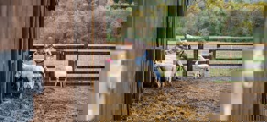 Zoe Schaeffer Kmfjh7rzuce Unsplash