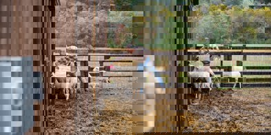 Zoe Schaeffer Kmfjh7rzuce Unsplash