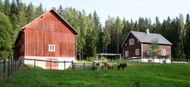 Åseng