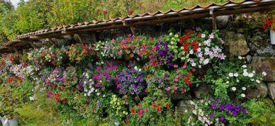Image0000011