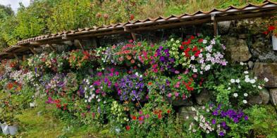 Image0000011
