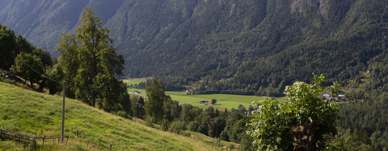 Flatdal Telemark
