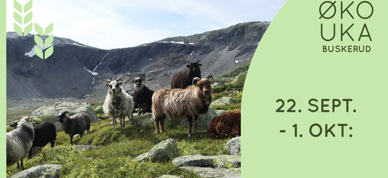 Facebook Event 2023 Untitled Page (6)