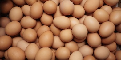 Mange brune egg - Foto: Raiyan Zakaria/Unsplash
