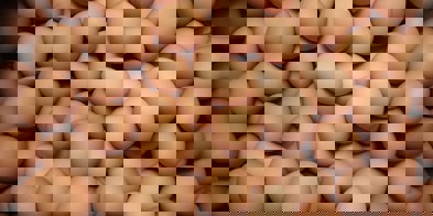 Mange brune egg - Foto: Raiyan Zakaria/Unsplash