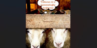 Plakat med sau - bærekraftig konferanse - Foto: Næringskontoret i Ørsta