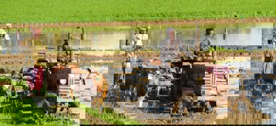 Bønder internasjonalt traktor kyr - Foto: Rajesh Ram/Unsplash