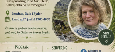Slåttegraut På Jensbua