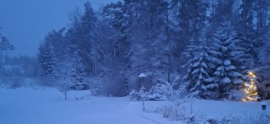 Vinterbilde