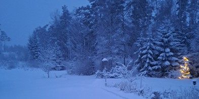Vinterbilde