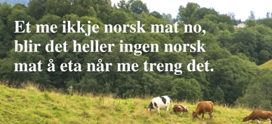 Et Me Ikkje Norsk Mat No...